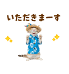 でか文字！夏のミヌエット（個別スタンプ：22）