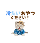 でか文字！夏のミヌエット（個別スタンプ：25）