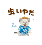 でか文字！夏のミヌエット（個別スタンプ：28）