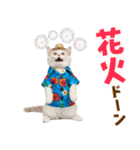 でか文字！夏のミヌエット（個別スタンプ：29）