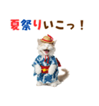 でか文字！夏のミヌエット（個別スタンプ：30）