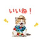 でか文字！夏のミヌエット（個別スタンプ：33）