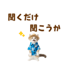 でか文字！夏のミヌエット（個別スタンプ：37）