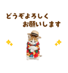 でか文字！夏のミヌエット（個別スタンプ：38）