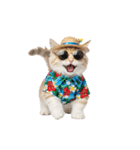 でか文字！夏のミヌエット（個別スタンプ：39）