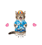 でか文字！夏のミヌエット（個別スタンプ：40）