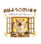 飛び出す癒し豆しばのラフな敬語（個別スタンプ：1）
