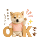 飛び出す癒し豆しばのラフな敬語（個別スタンプ：5）