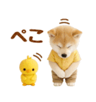 飛び出す癒し豆しばのラフな敬語（個別スタンプ：6）