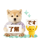 飛び出す癒し豆しばのラフな敬語（個別スタンプ：7）