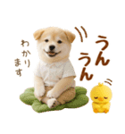 飛び出す癒し豆しばのラフな敬語（個別スタンプ：16）