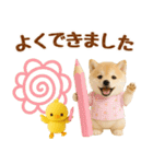 飛び出す癒し豆しばのラフな敬語（個別スタンプ：18）