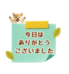 飛び出す癒し豆しばのラフな敬語（個別スタンプ：19）