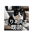 可愛い猫の既読マーク（個別スタンプ：1）