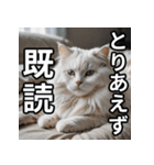 可愛い猫の既読マーク（個別スタンプ：2）