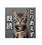 可愛い猫の既読マーク（個別スタンプ：4）