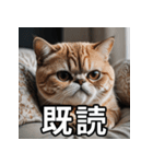 可愛い猫の既読マーク（個別スタンプ：5）