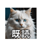 可愛い猫の既読マーク（個別スタンプ：6）