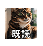可愛い猫の既読マーク（個別スタンプ：7）