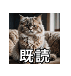 可愛い猫の既読マーク（個別スタンプ：8）