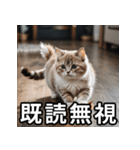 可愛い猫の既読マーク（個別スタンプ：9）