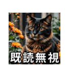 可愛い猫の既読マーク（個別スタンプ：11）