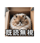 可愛い猫の既読マーク（個別スタンプ：12）