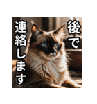 可愛い猫の既読マーク（個別スタンプ：13）