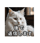 可愛い猫の既読マーク（個別スタンプ：14）