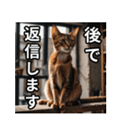 可愛い猫の既読マーク（個別スタンプ：16）