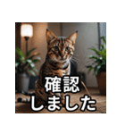 可愛い猫の既読マーク（個別スタンプ：17）