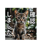 可愛い猫の既読マーク（個別スタンプ：20）