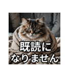 可愛い猫の既読マーク（個別スタンプ：29）