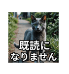可愛い猫の既読マーク（個別スタンプ：31）
