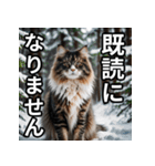 可愛い猫の既読マーク（個別スタンプ：32）