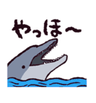 バンドウイルカです（個別スタンプ：30）