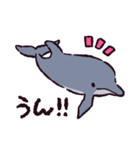 バンドウイルカです（個別スタンプ：37）