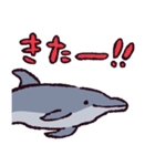 バンドウイルカです（個別スタンプ：38）