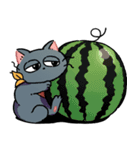 なかよしキャットの夏休み〜時々てんき〜（個別スタンプ：5）