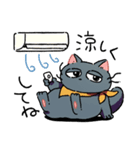 なかよしキャットの夏休み〜時々てんき〜（個別スタンプ：7）