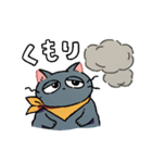 なかよしキャットの夏休み〜時々てんき〜（個別スタンプ：13）