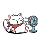 なかよしキャットの夏休み〜時々てんき〜（個別スタンプ：14）