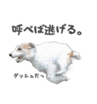 水彩画ジャックラッセルテリア（あるある）（個別スタンプ：1）