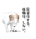 水彩画ジャックラッセルテリア（あるある）（個別スタンプ：6）