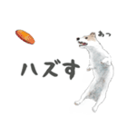 水彩画ジャックラッセルテリア（あるある）（個別スタンプ：9）