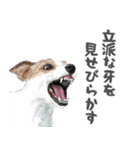 水彩画ジャックラッセルテリア（あるある）（個別スタンプ：15）