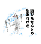 水彩画ジャックラッセルテリア（あるある）（個別スタンプ：17）