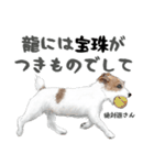 水彩画ジャックラッセルテリア（あるある）（個別スタンプ：18）