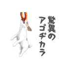 水彩画ジャックラッセルテリア（あるある）（個別スタンプ：27）