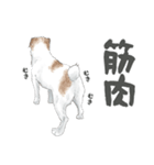 水彩画ジャックラッセルテリア（あるある）（個別スタンプ：28）
